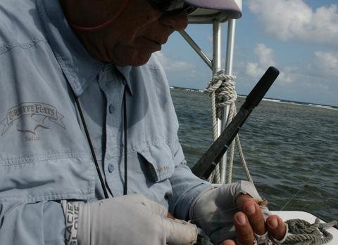 Day One. Turneffe Flats Lodge 10/25. "Jimmy the Barracuda"