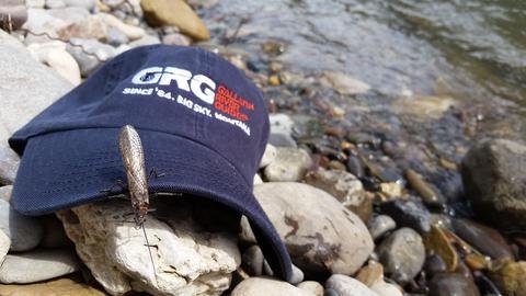 Salmon Flies on the Gallatin