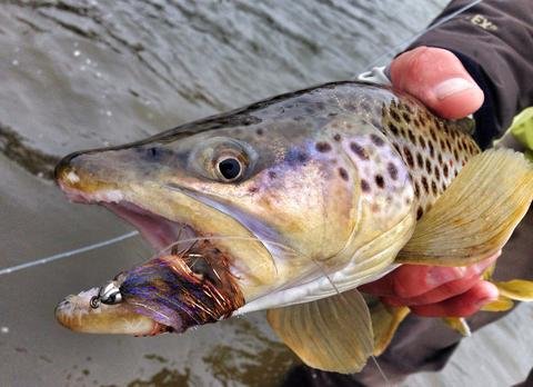 March Madness: Streamer Junky Alert!