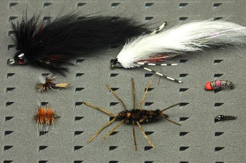 The Flies in Pat's Box: Six patterns for early spring fishing