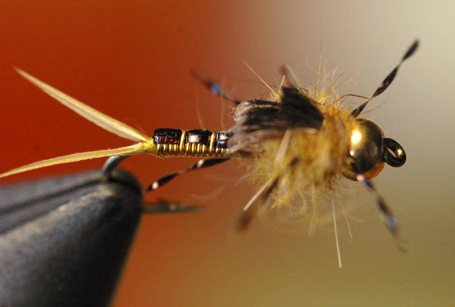 Wednesday Night Fly Tying...Morrish's Iron Sally