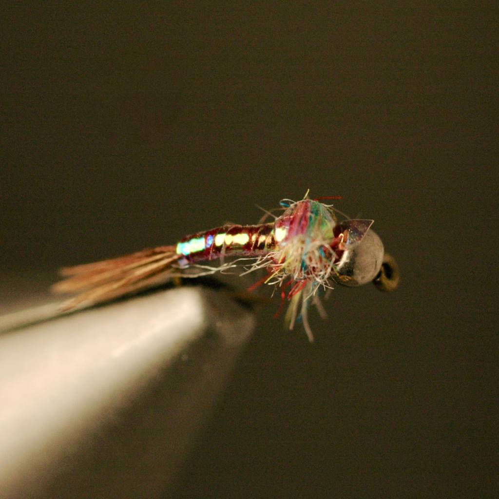 Wednesday Night Fly Tying...Rainbow Warrior