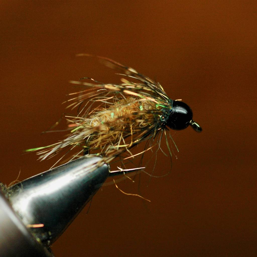 Wednesday Night Fly Tying...Bird of Prey October Caddis