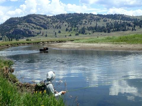 Montana Fly Fishing Resolutions 2018