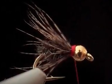 Wednesday Night Fly Tying...Trout Crack (Beadhead Soft Hackle Peacock) YouTube Video