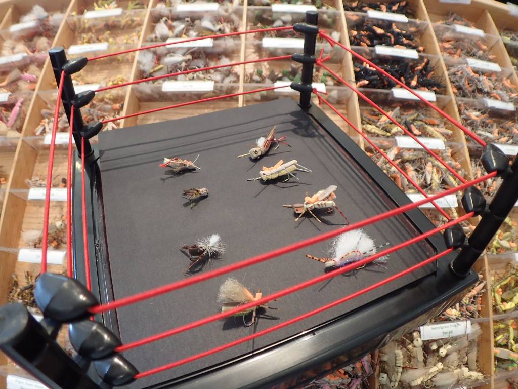 The Great Grasshopper Throw Down