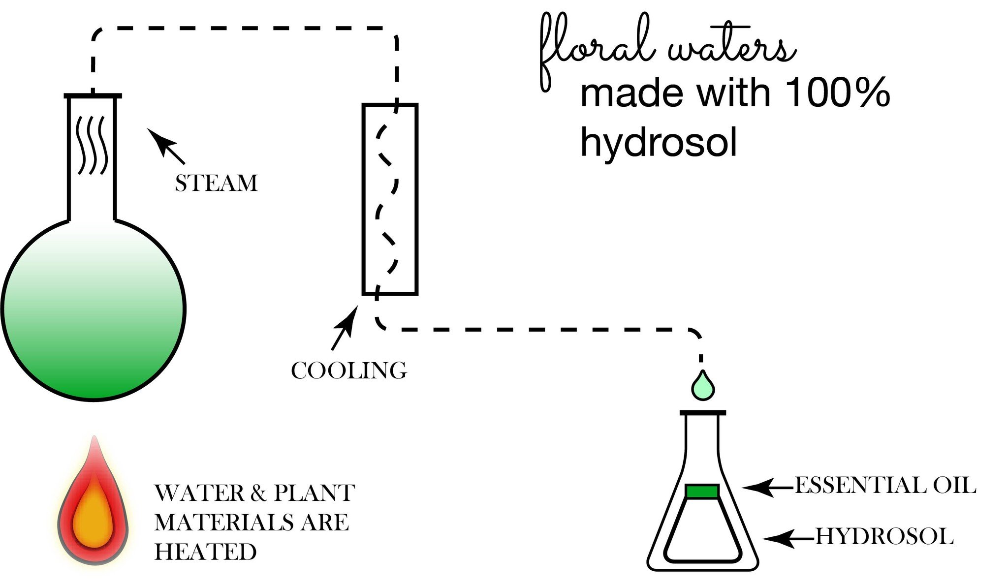 janegee Hydrosol Distillation