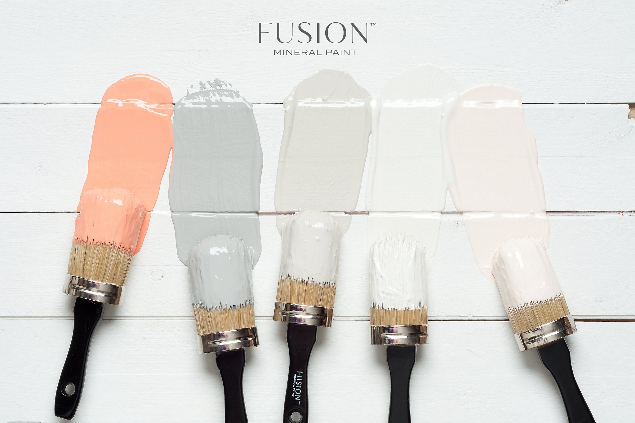 Fusion Paint - The Hen House
