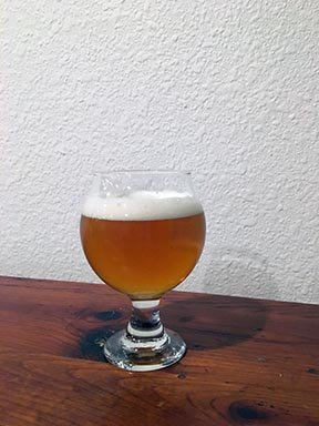 Not a Citra Pale Tasting Notes