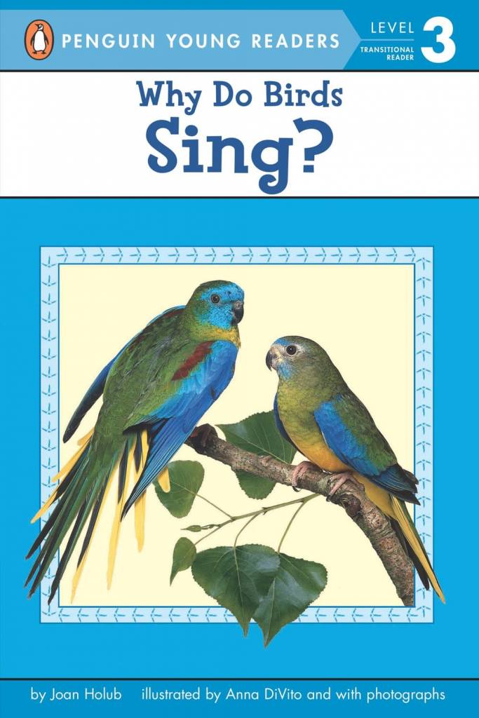 best 28 why do the birds fake science why do birds best 28 why do the birds fake science why do birds