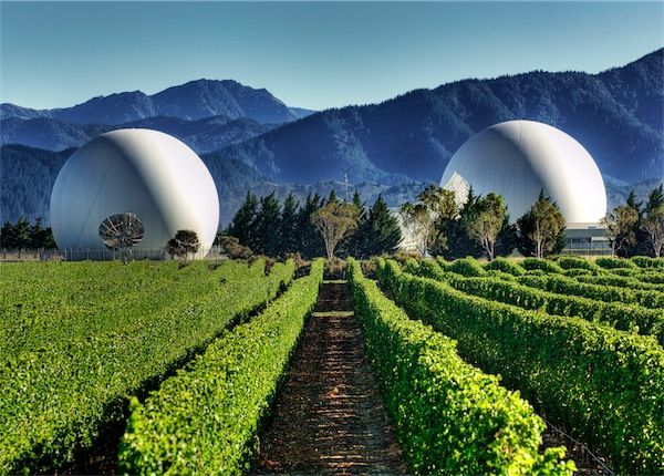 22 SEP 2018 | Spy Valley New Zealand Tasting with Pete Rawling Wine Ambassador