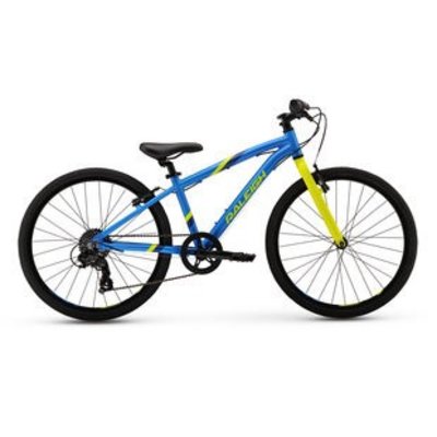 Raleigh Cadent 24 2017