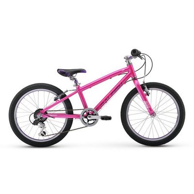 Raleigh Lily Girls' 20" Bike 2017
