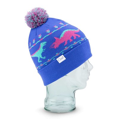 Coal Women's The Dina Knit Cap 2018