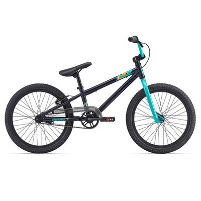 Giant GFR Coaster Brake Kids' Bicycle 2018