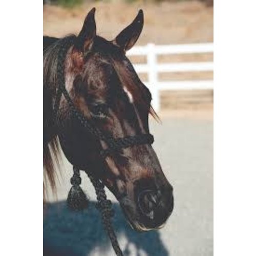 Professional's Choice Cowboy Braided Halter Professional's Choice Cowboy Braided Halter