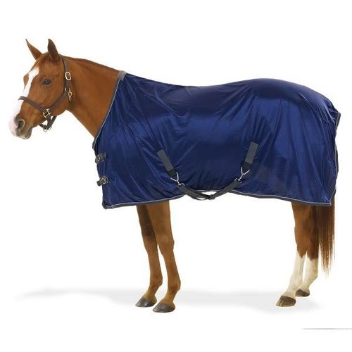 Athletic Stable Sheet Athletic Stable Sheet