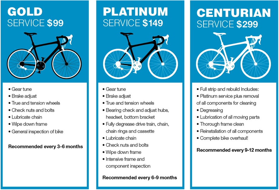 bicycle servicing cost