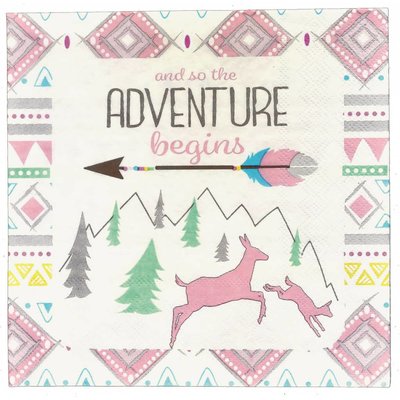The Adventure Begins Girl Lunch Napkin