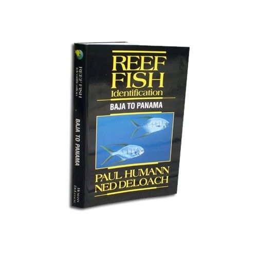 innovative scuba concepts reef