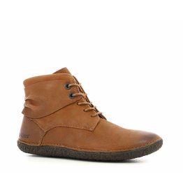 kickers hobylow marron