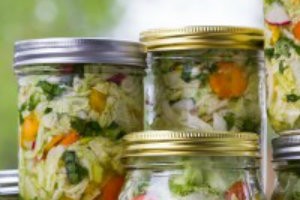 Why You and Your Pet Need Fermented Foods