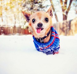 Playing and Staying Happy & Healthy!