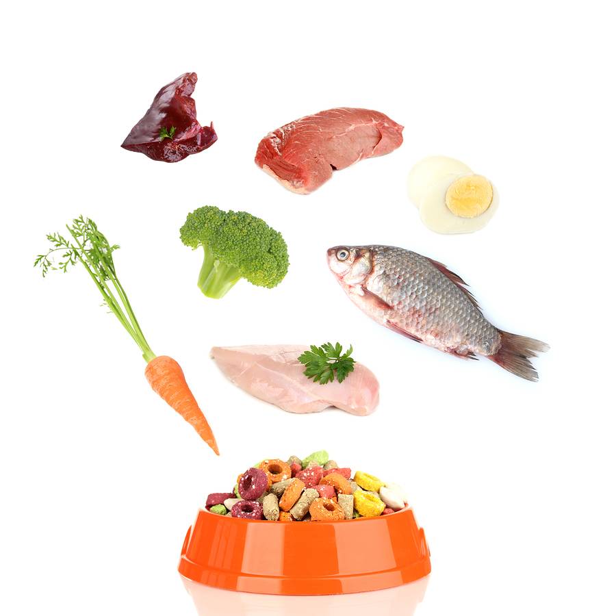 Why Is Nutrition Important?
