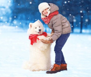 Heads Up on Dealing with Holiday Hazards