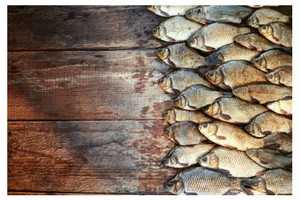 The Benefit Of Fish Stock