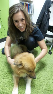 Stabilizing The Spine With Chiropractics