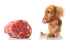 So Many Options For A Raw Diet
