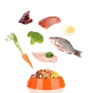 Grain-Free Diets & Pet Health