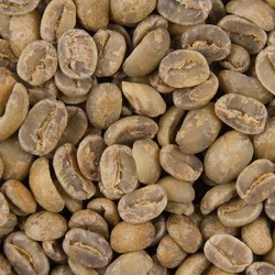 Where to buy green coffee beans in manila photo 9