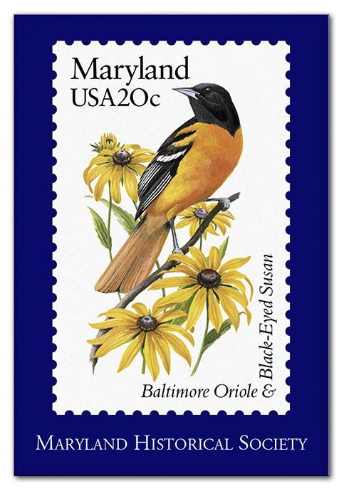 Magnet Baltimore Oriole Black Eyed Susan Maryland Historical Magnet Baltimore Oriole Black Eyed Susan