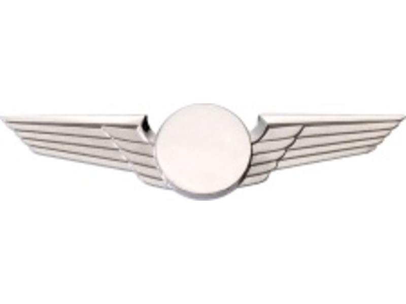 Pin: Modern Wing Silver,