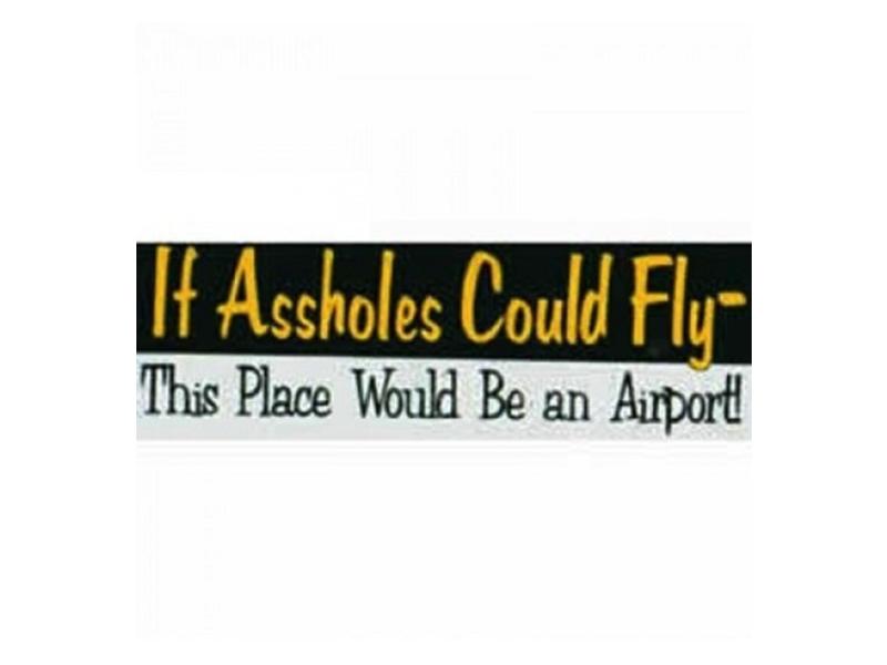 Bumper Sticker: If Assholes Could Fly