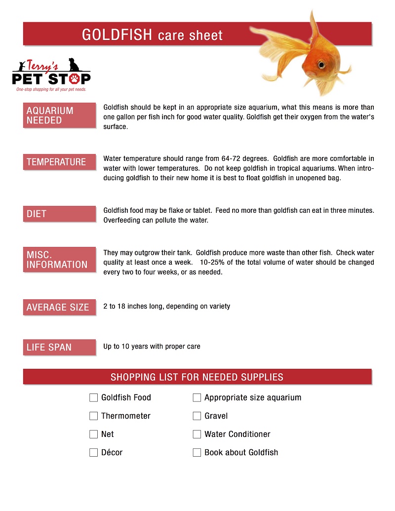 pet care sheets morris plains nj terry s pet stop