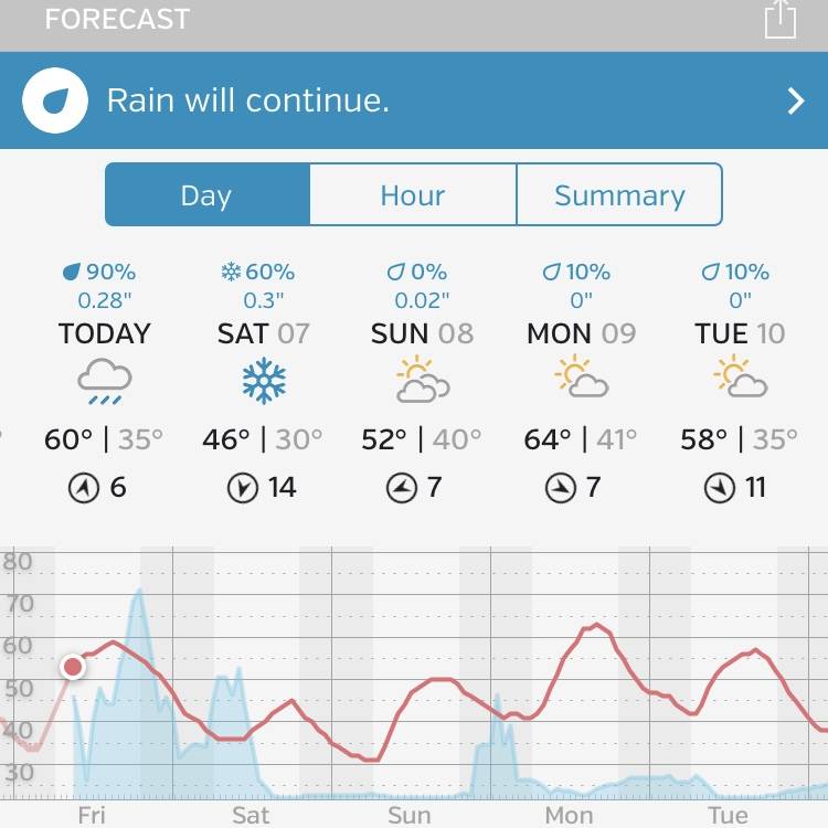 Whether the Weather