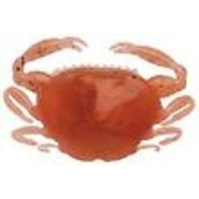 Berkley fishing Berkley gulp softbait 2 inch paddle crab New penny