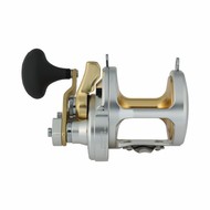 Shimano fishing Shimano Talica 20 2 speed  fishing reel