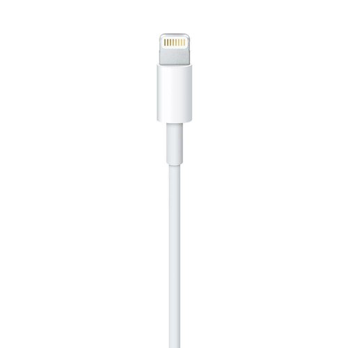 Apple Câble USB Lightning MFI 2M Apple Câble USB Lightning MFI 2M