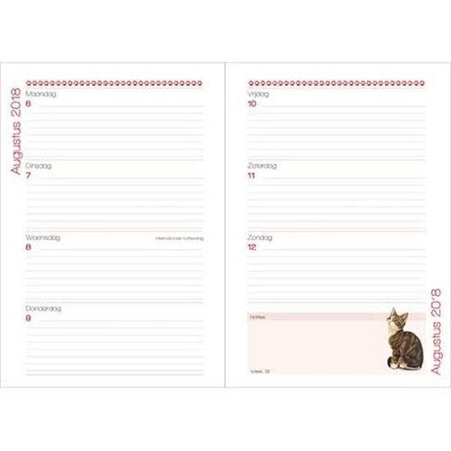 Franciens Kittens Weekly Agenda Franciens Kittens Weekly Agenda