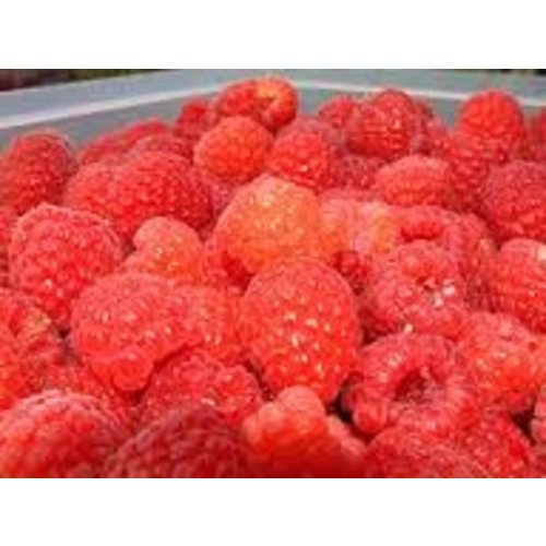 Cranes Cranes RED Raspberry preserves Cranes Cranes RED Raspberry preserves