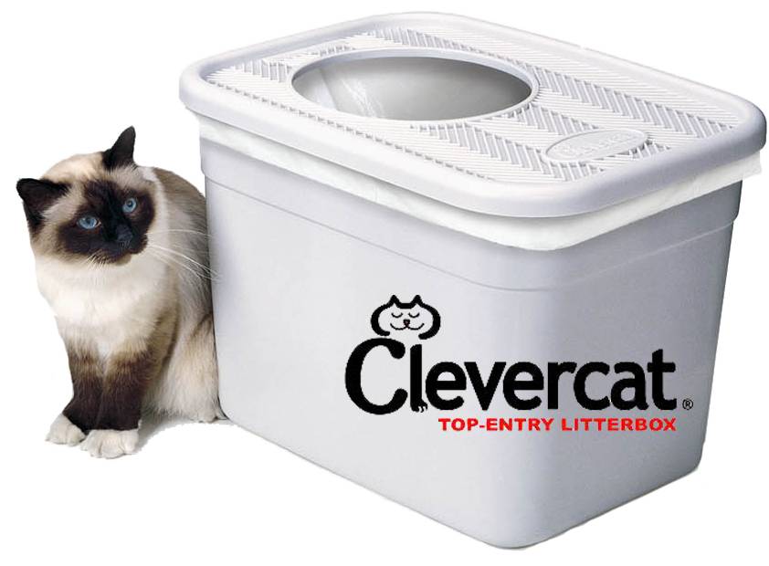 Clevercat Top Entry Litter Box Fur Babies