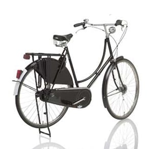 Dutch bikes deals usa